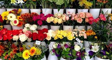 Цветочный этикет: как правильно выбрать цветочный подарок