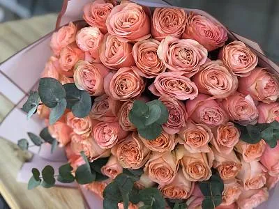 61 пионовидная роза с эвкалиптом 7