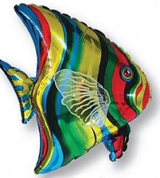 Фольгированный шар - Разноцветная рыбка - 26