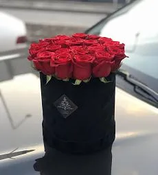 Голландские розы в бархатной коробке