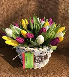 Кашпо Home&Flower с голландскими тюльпанами