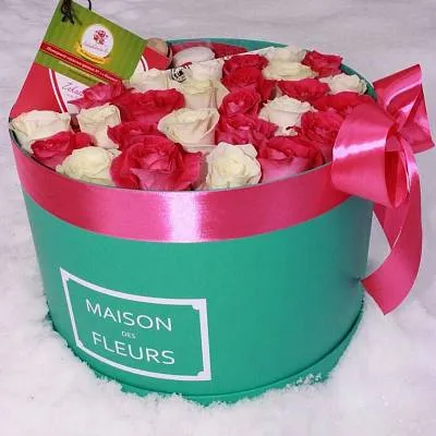 Коробка MAISON с голландской розой и французскими макаронс 2
